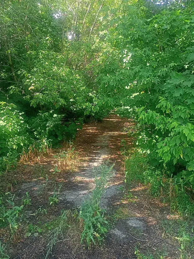Парк Приморский. Гордость и беда Ульяновска