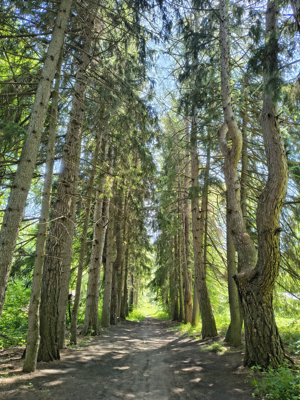 Акшуат